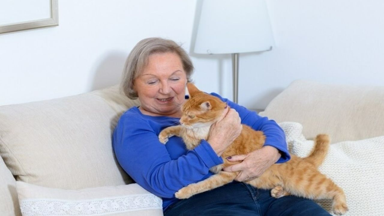 Zihin Değiştiren Kedi Paraziti Yaşlı İnsanları Nasıl Etkiliyor?