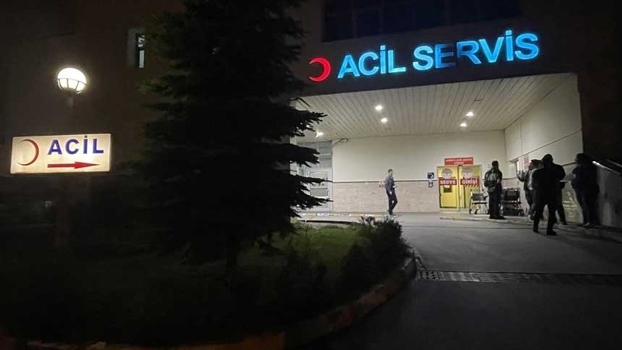 Ankara’da Bir Sahipsiz Köpek Saldırısı Daha