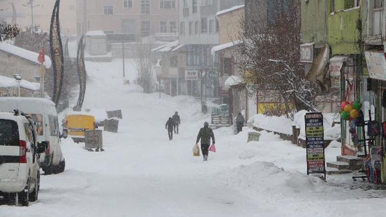 Bingöl Karlıova’da 25 Köy Yolu Kardan Kapandı