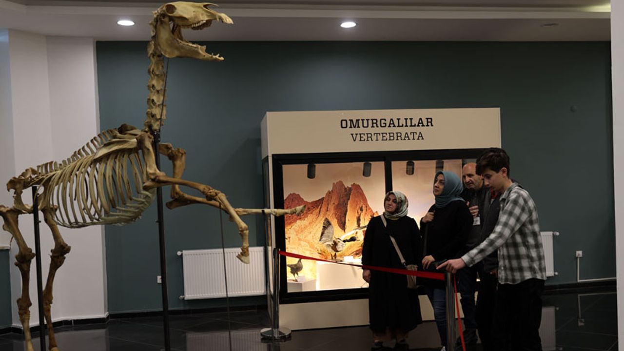 Sivas’taki Tabiat Müzesi Ziyaretçilerin İlgisini Çekiyor