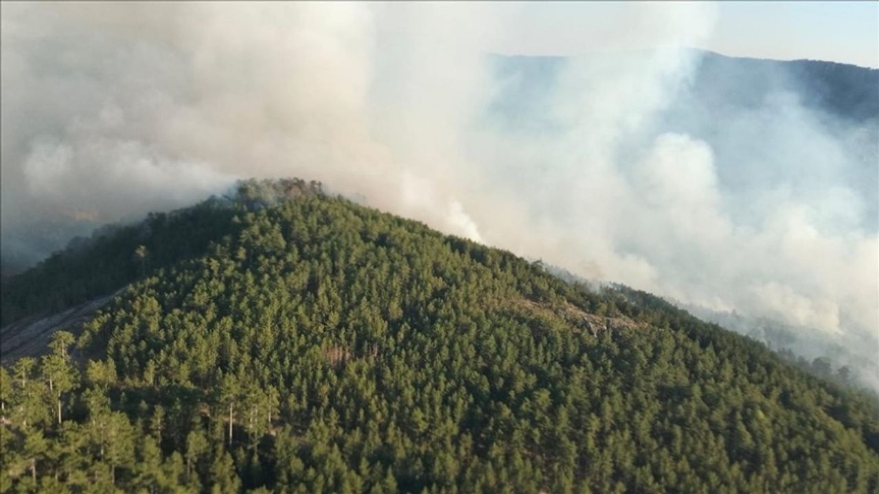 Balıkesir Sındırgı'da Orman Yangını Alarmı