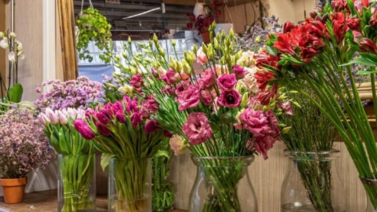 Temmuz Ayında Açan Çiçekler Nelerdir? Yaz Mevsiminin Renkleri