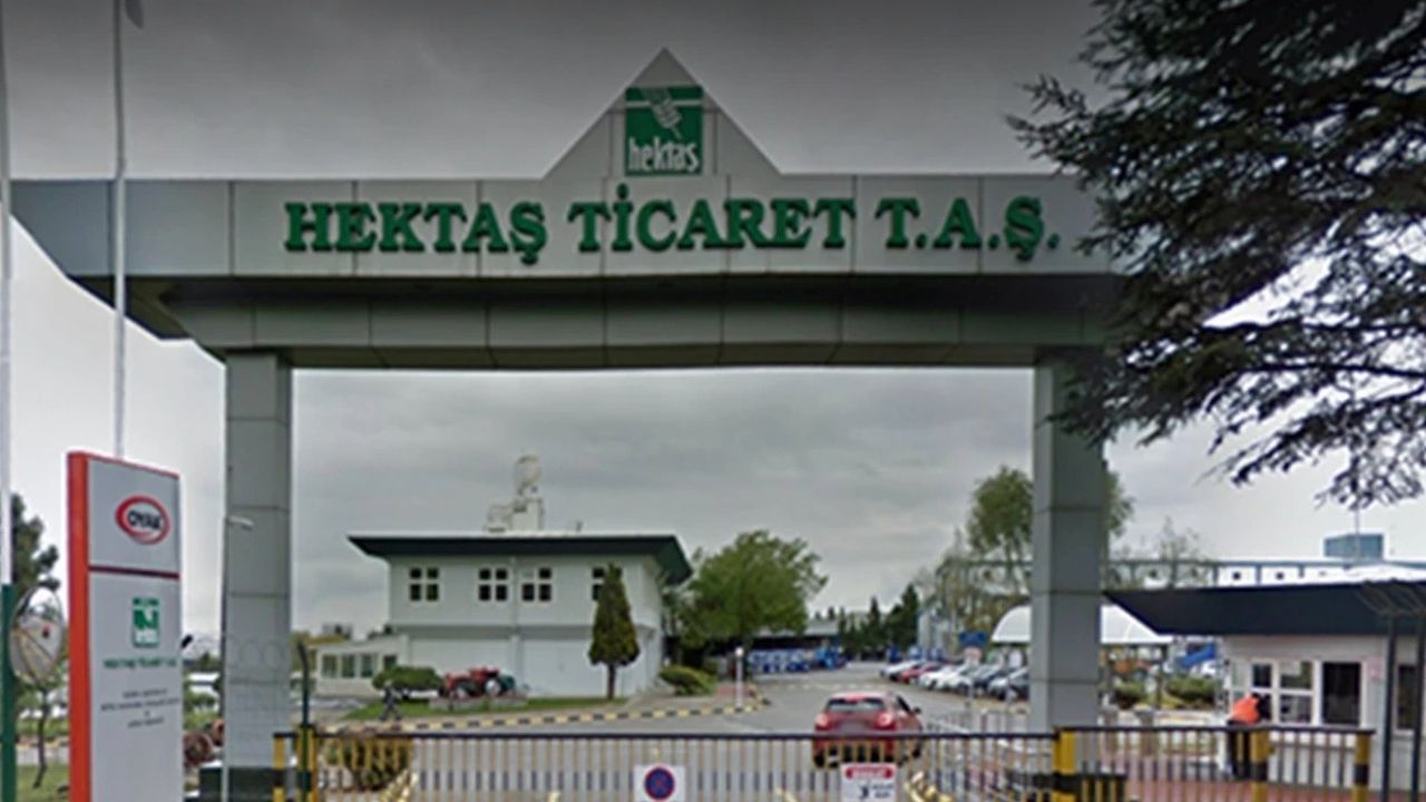 Hektaş Kimin, Devletin mi, Ordunun mu? HEKTS Kaç Lotu Var?