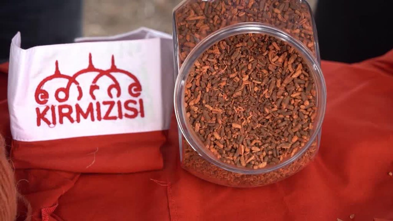 Edirne Kırmızısı Yeniden Doğdu: Tarihi Renk Ekonomiye Kazandırıldı