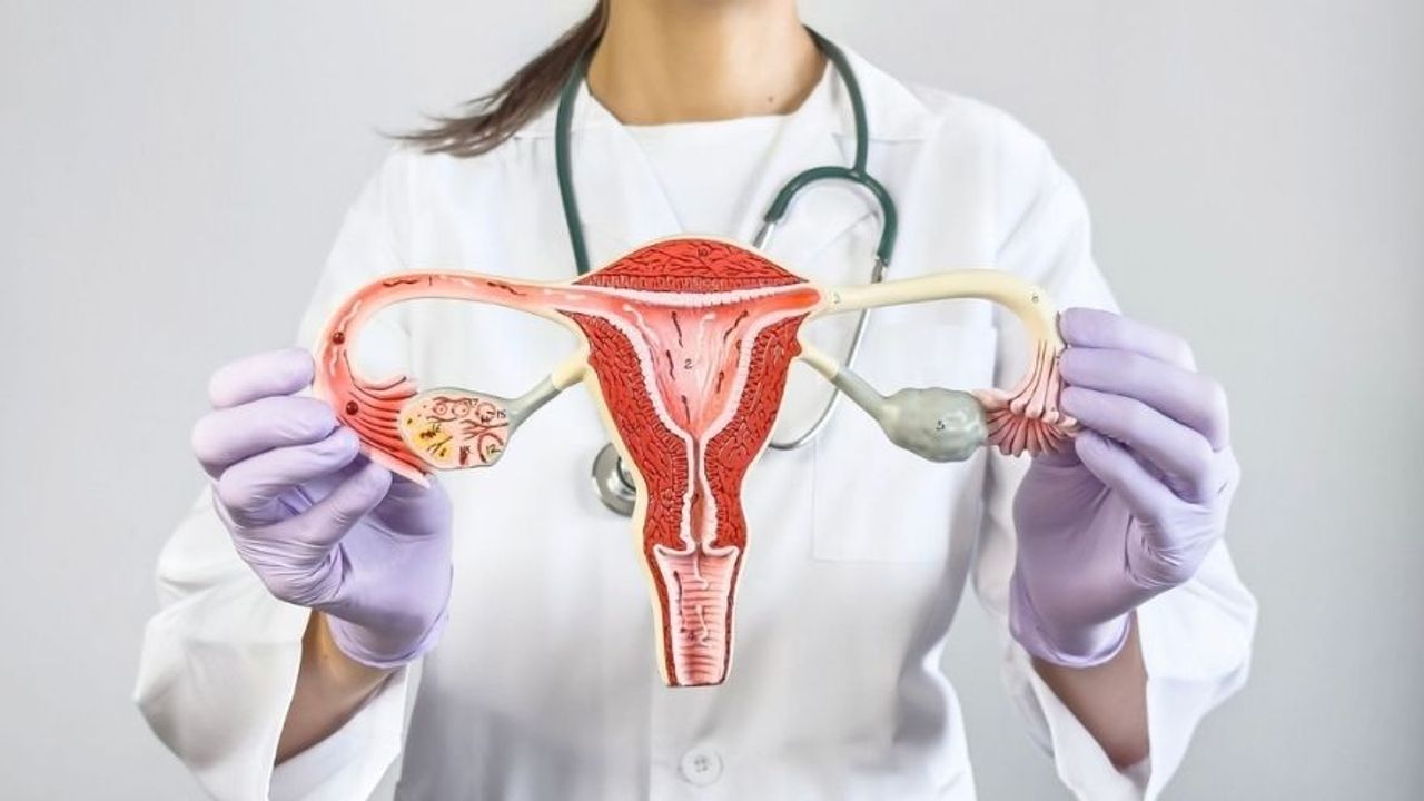 Endometrium (Rahim) Kanseri Nedir? Belirtileri ve Tedavisi