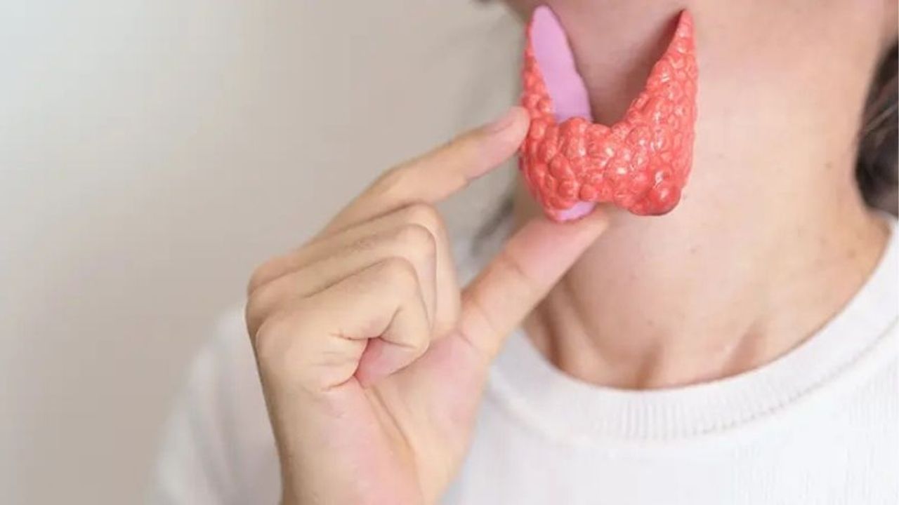 Haşimato Hastalığı Nedir? Belirtileri Ve Tedavi Yöntemleri