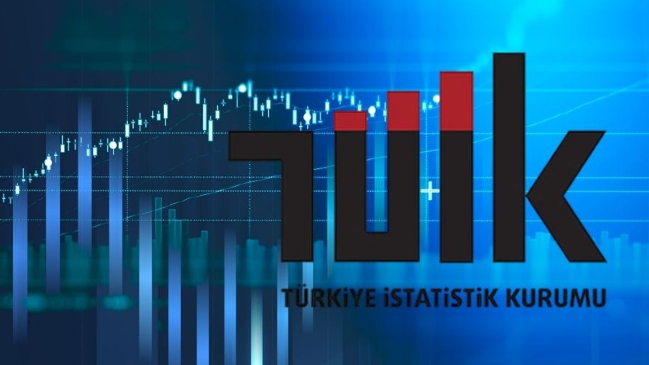 Türkiye’de İşsizlik Oranı Sabit Kaldı: TÜİK Açıkladı