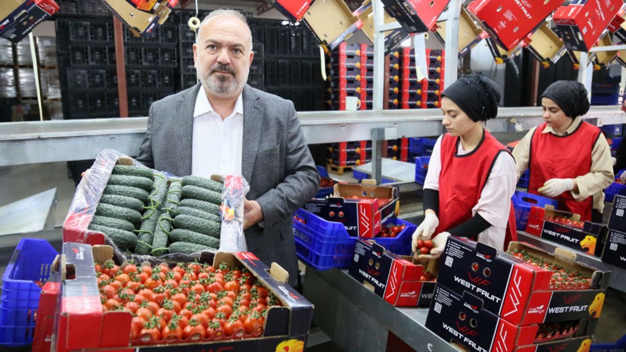 Ukrayna’nın Domates Kararı Kriz Yarattı: Antalya İhracatçısı Çözüm Bekliyor