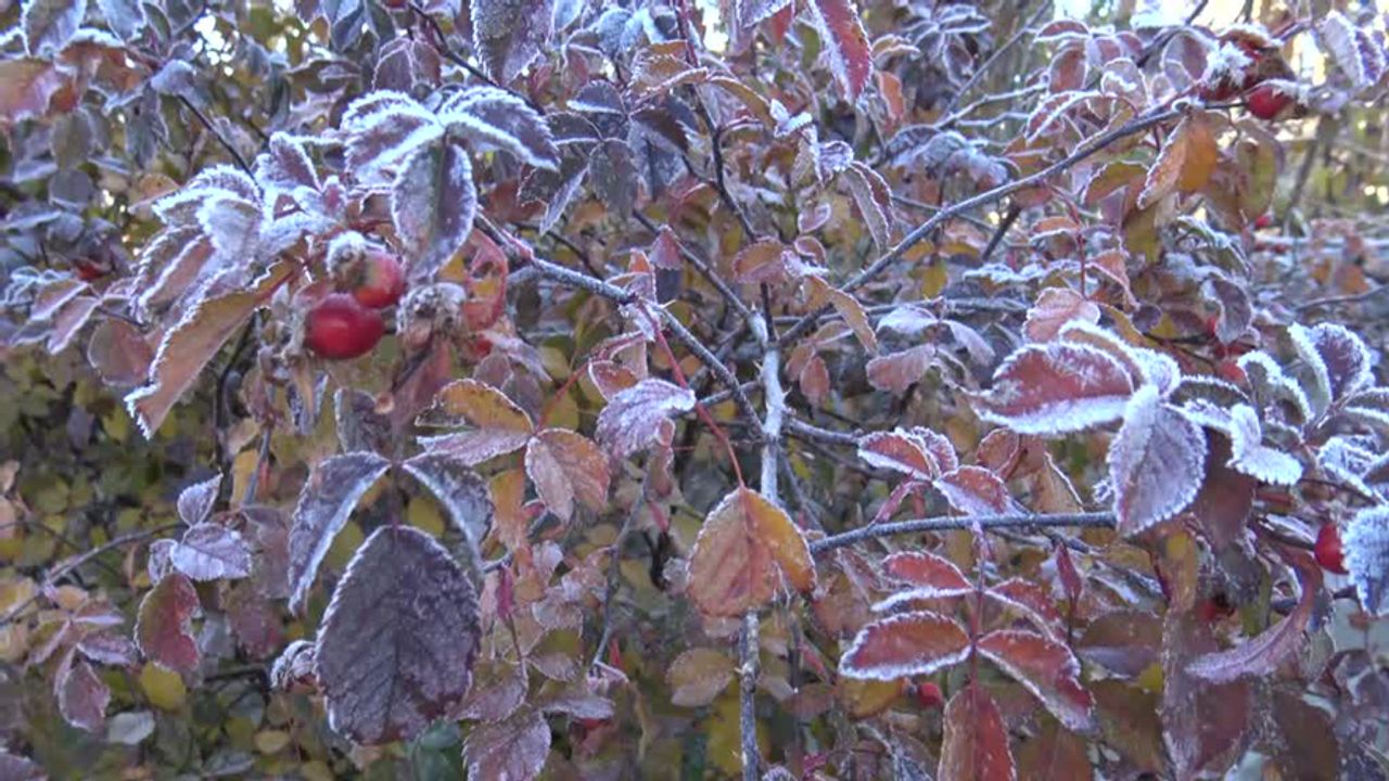 Zirai Don Desteği Artıyor: Üreticiye 6,5 Milyar Lira Daha