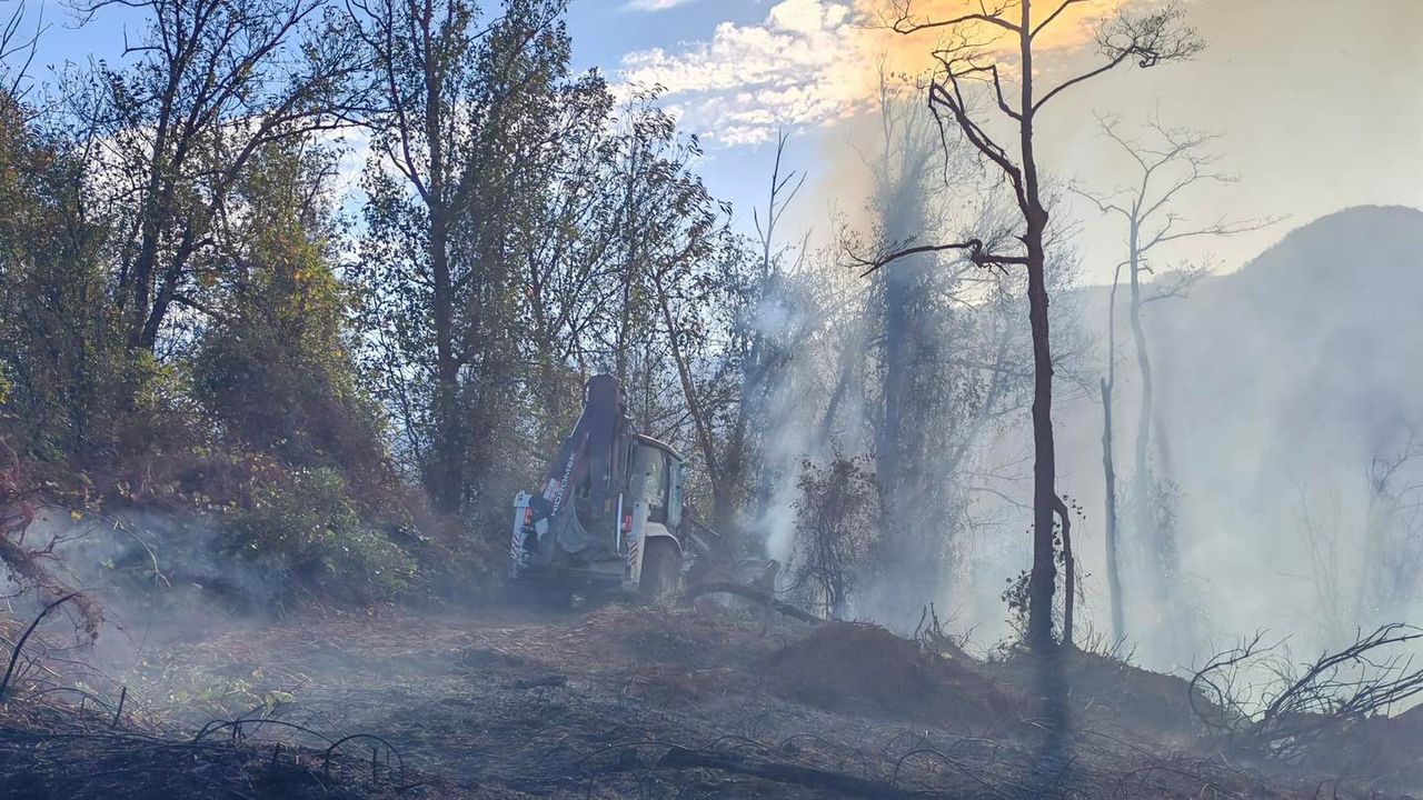 Artvin’de Bahçede Çıkan Yangın Ormana Sıçradı