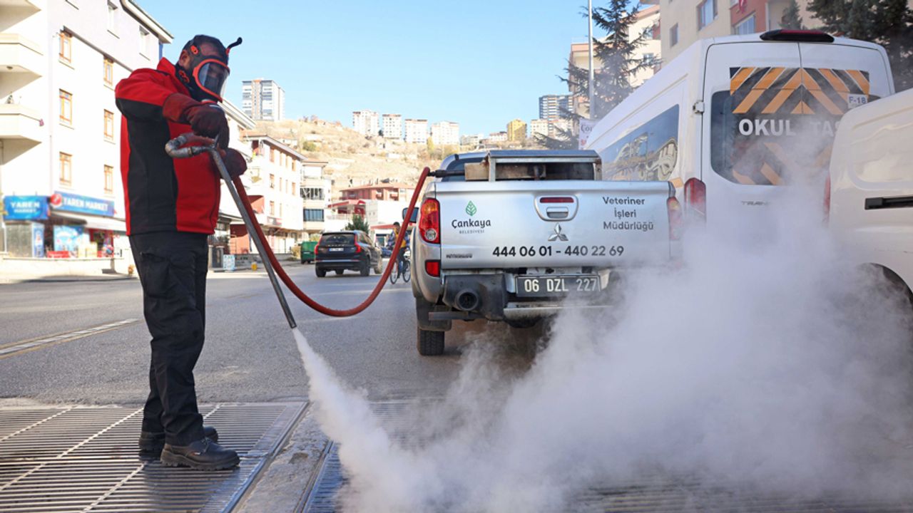 Çankaya’da Kışın da Haşere Mesaisi: İlaçlama Sürüyor