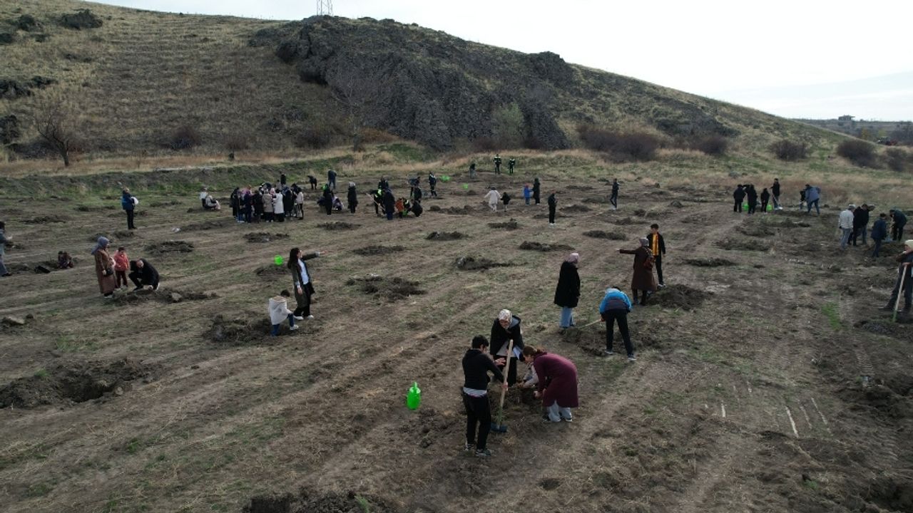 Çubuk’ta Çevre Seferberliği: Öğrenciler Vadide Fidan Dikti