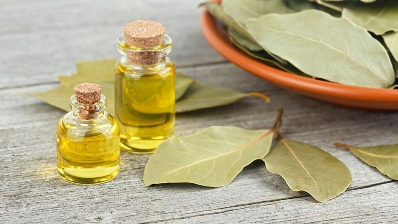 Defne Yağının Faydaları ve Kullanım Alanları