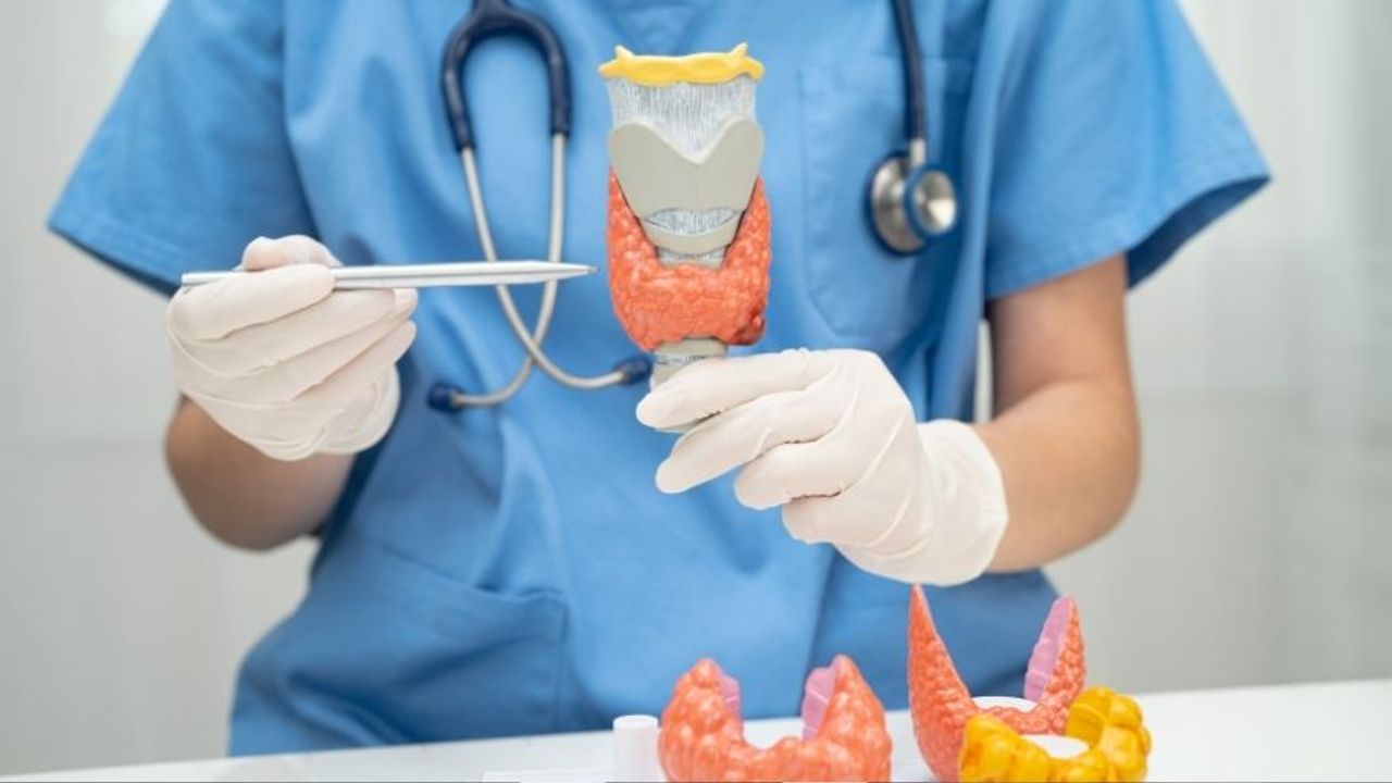 Tiroid Hastalarına Müjde! RFA/MWA ile Ameliyatsız Tedavi