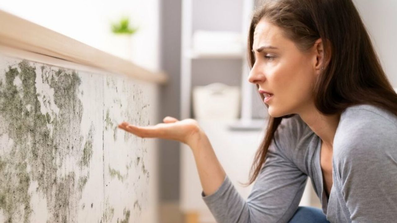 Küf Alerjisi Nedir? Korunma ve Tedavi Yolları