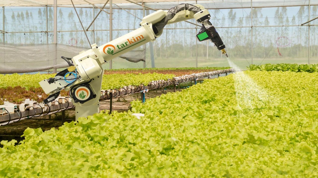 Tarkim Kayıtlı Sermaye Artırıyor: TARKM Hisse Neden Yükselişe Geçti?