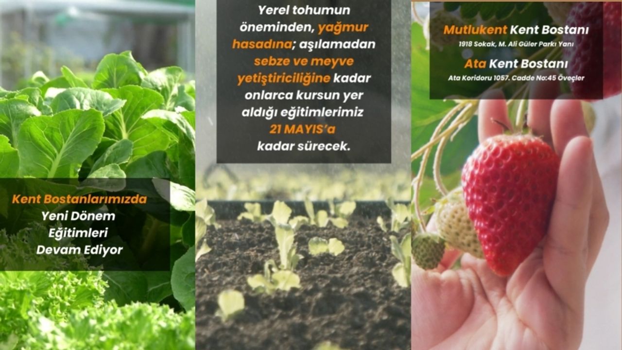 Çankaya Kent Bostanlarında Yeni Dönem Eğitimleri Duyuruldu