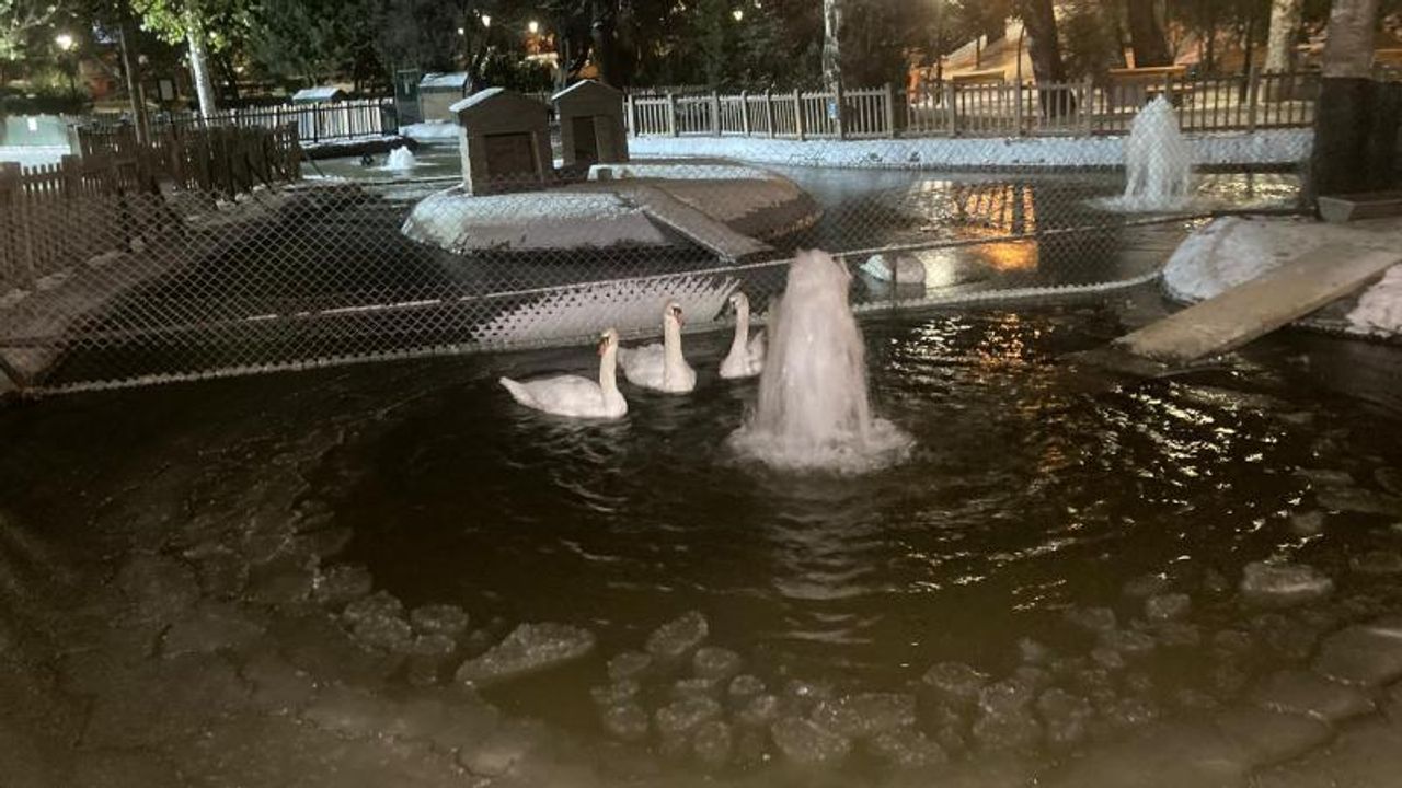 Ankara'da Eksi 11 Derece Şoku: Kuğulu Park Buz Kesti!