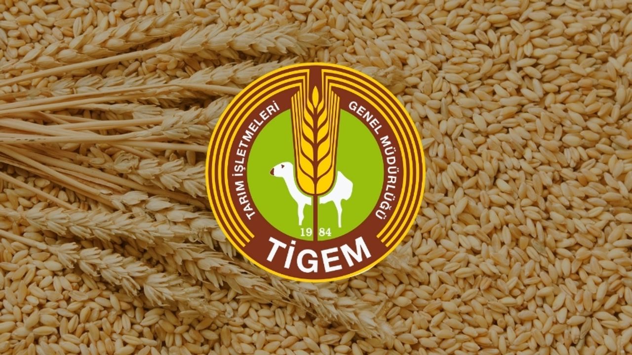 TİGEM’den 327 Ton Buğday Satışı için Geri Sayım Başladı