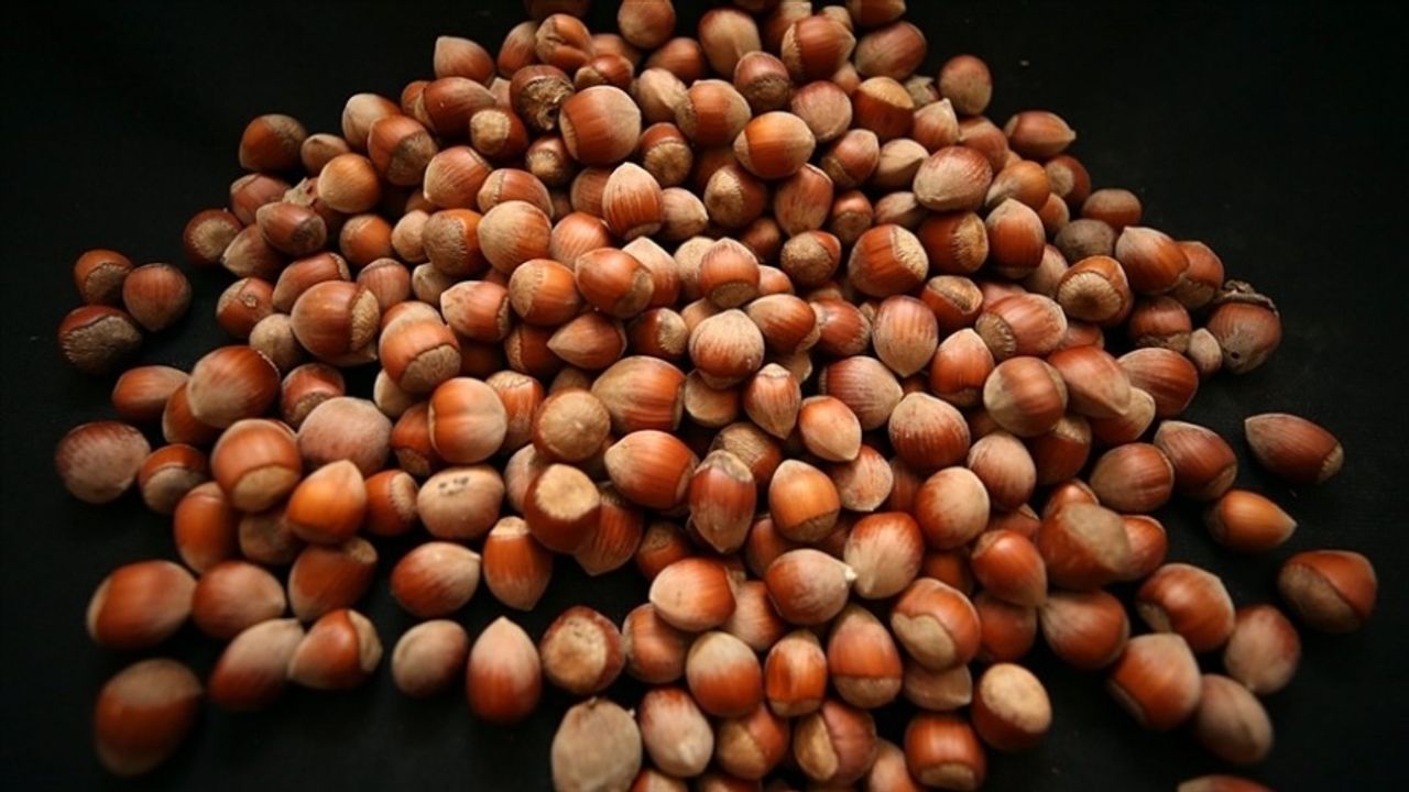 Türkiye'nin Fındık İhracatı 2,2 Milyar Doları Aştı