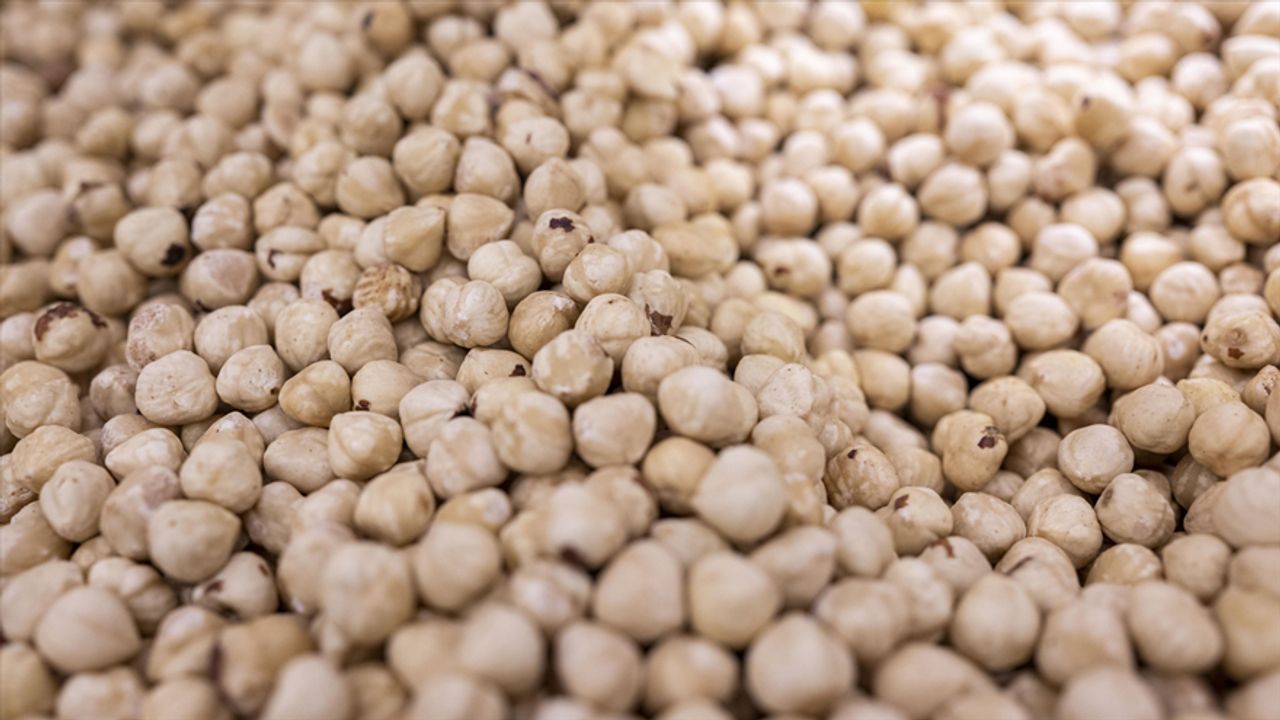 Türkiye’nin Fındık İhracatı Son 5 Ayda 81 Bin Ton Geriledi