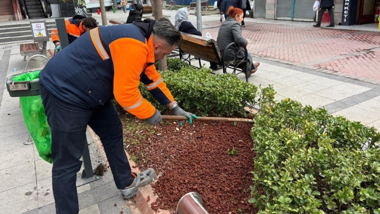 Sakarya Caddesi Yeşil Dokunuşlarla Renklendirildi