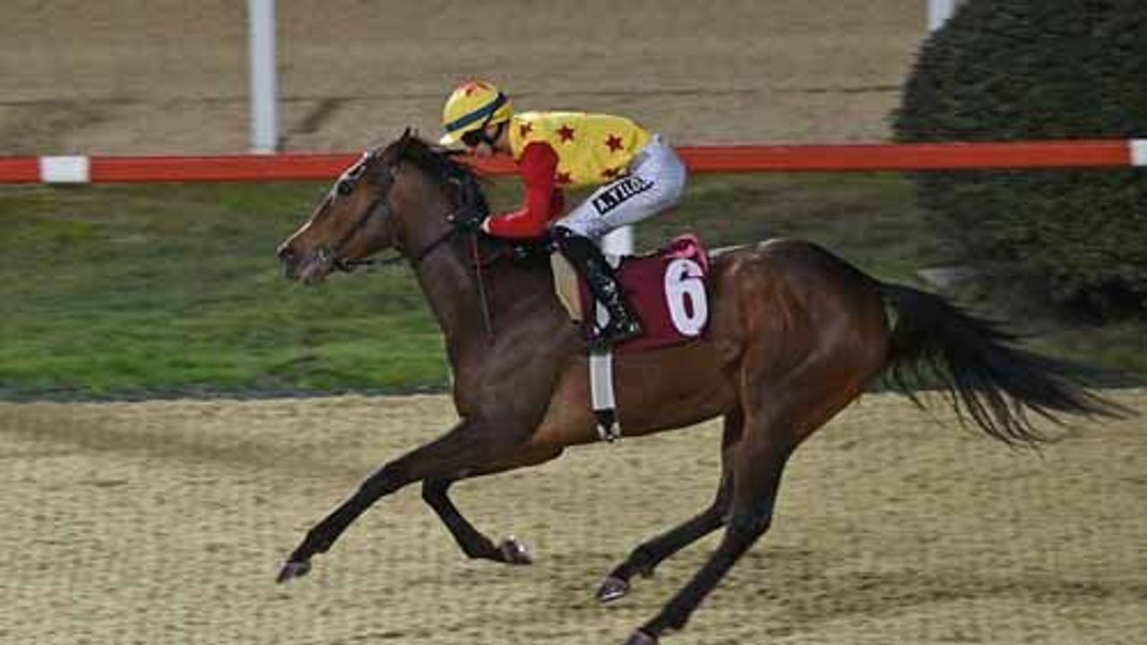 Dünya Kadınlar Günü Koşusu 10. Kez Düzenlendi, Kazanan Jaehaera oldu