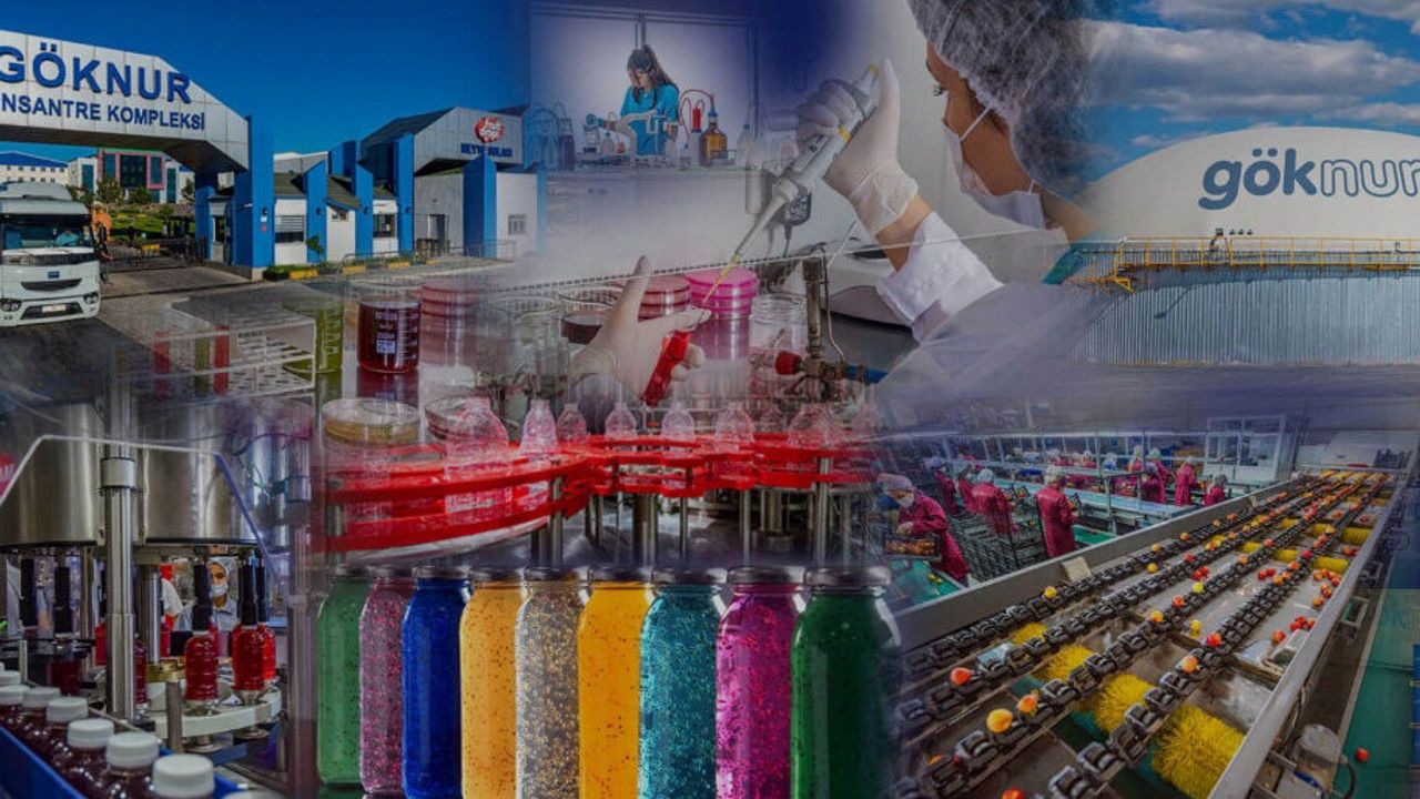 Ankaralı Göknur Gıda, Borsada Kendi Paylarını Topluyor