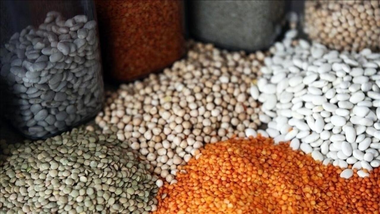 Güneydoğu Anadolu'dan 2 Ayda 552,8 Milyon Dolarlık Gıda İhracatı