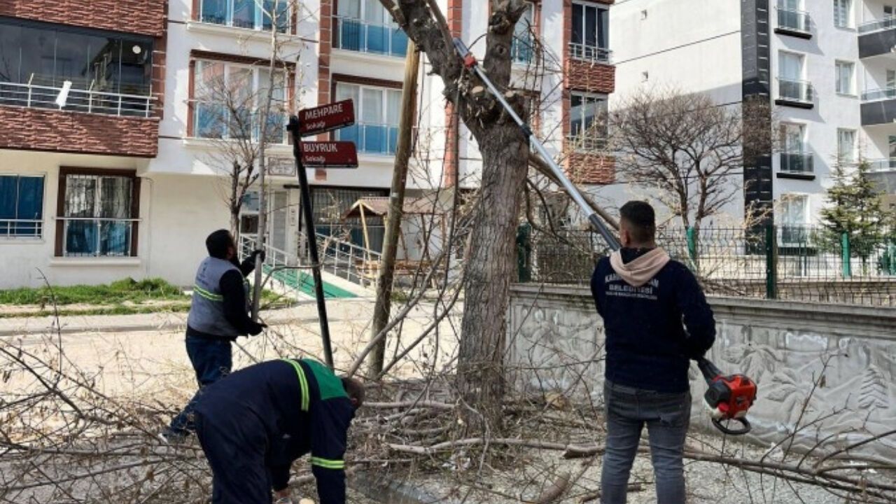 Kahramankazan'da Ağaçlar Budanıyor, Sokaklar Güzelleşiyor