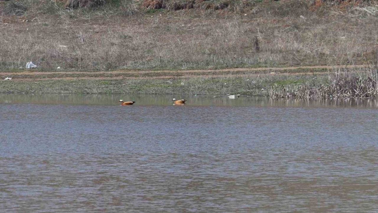Ekimde Kuruyan Kızılca Göleti Kış Yağışlarıyla Yeniden Doldu