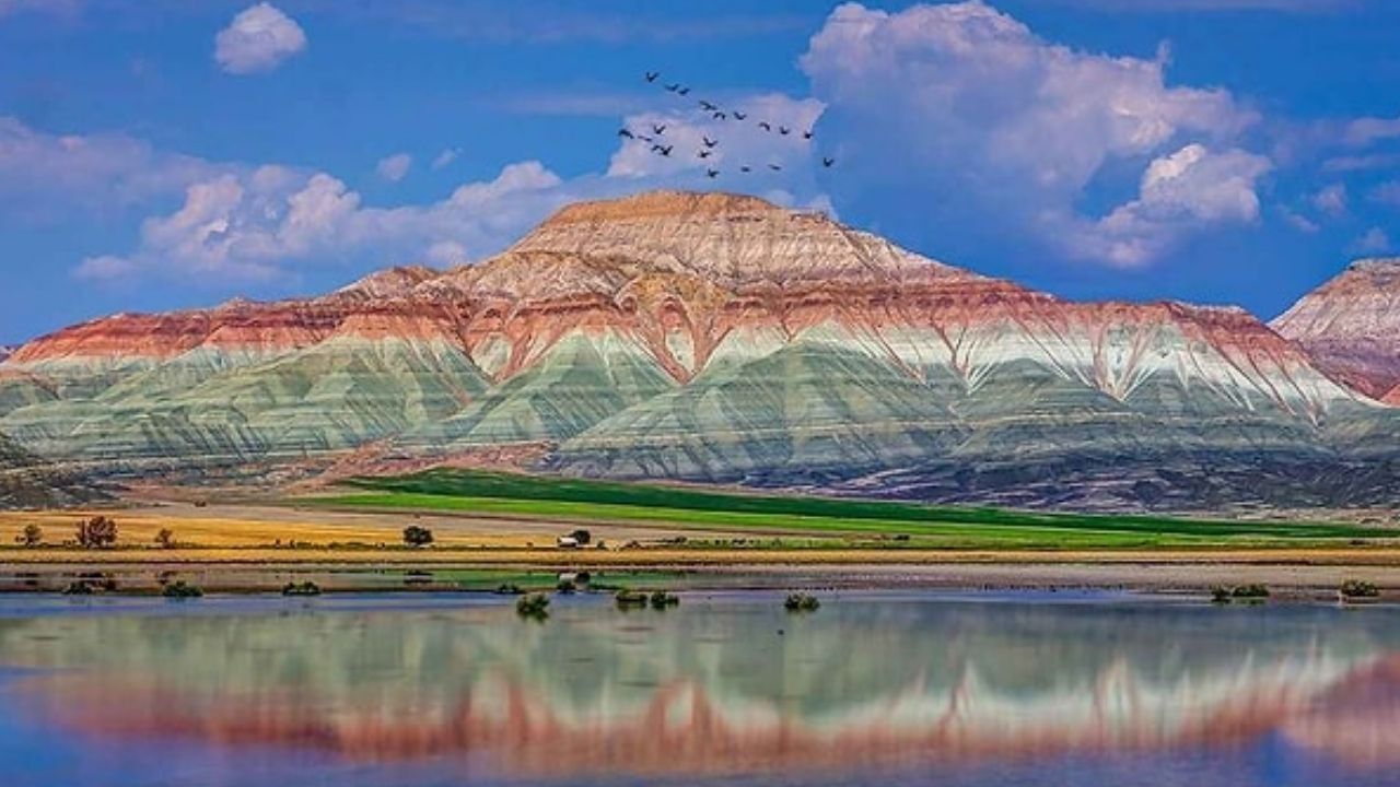Kuş Gözlemciliğinin Ankara'daki Adresi Nallıhan Kuş Cenneti