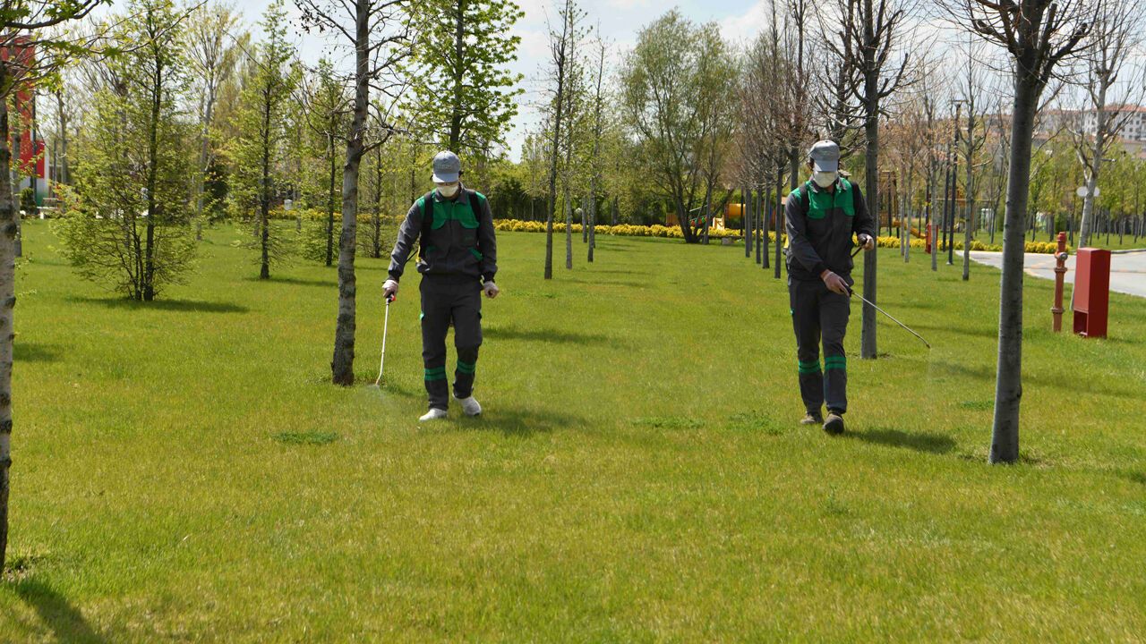 Ankara’da Haşere Mesaisi Başladı: 190 Personel ve 57 Araç Sahaya İndi