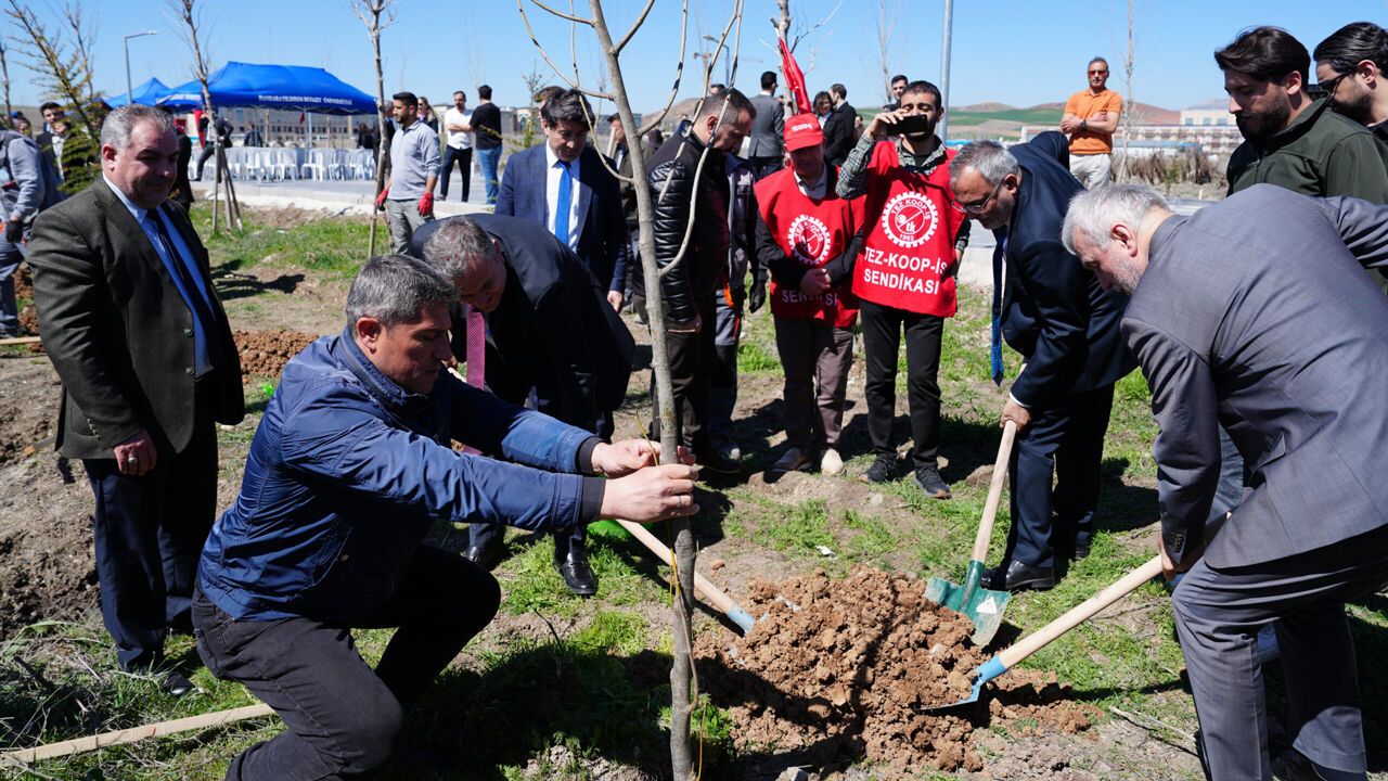 AYBÜ Kampüsüne "Bal Ormanı" Oluşturuluyor, 2 Bin Fidan Toprakla Buluştu