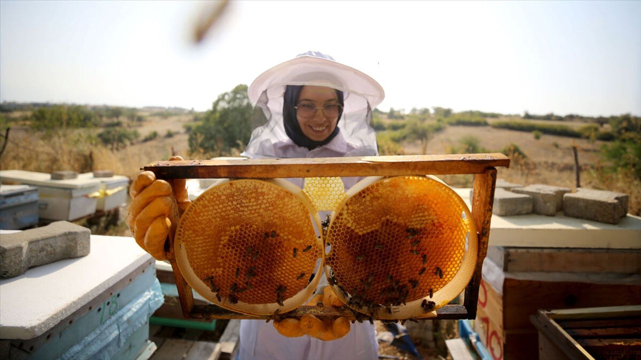 Türk Balını En Çok ABD'liler Sevdi