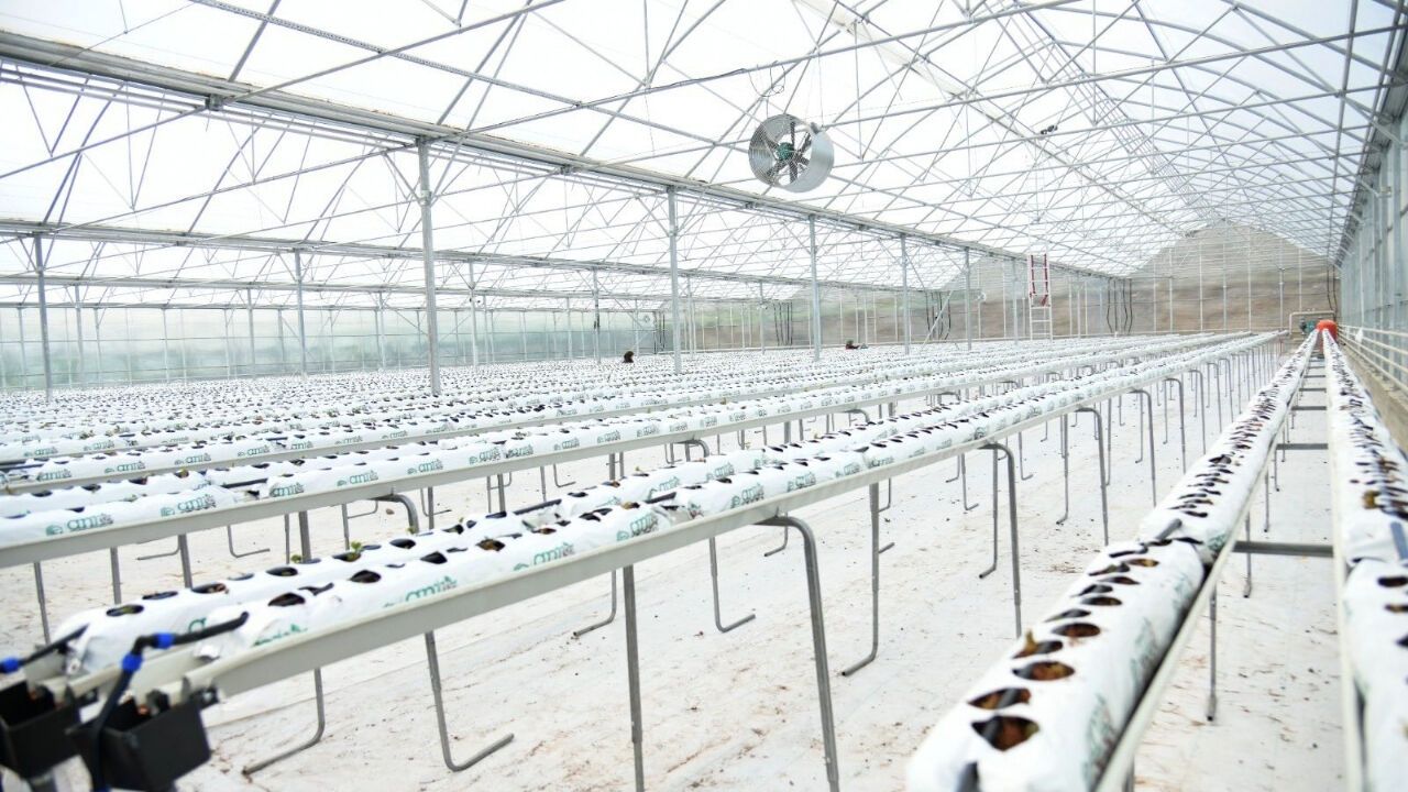 Kahramankazan ve ABB El Ele Verdi, Soğucak'ta Üretim Başladı