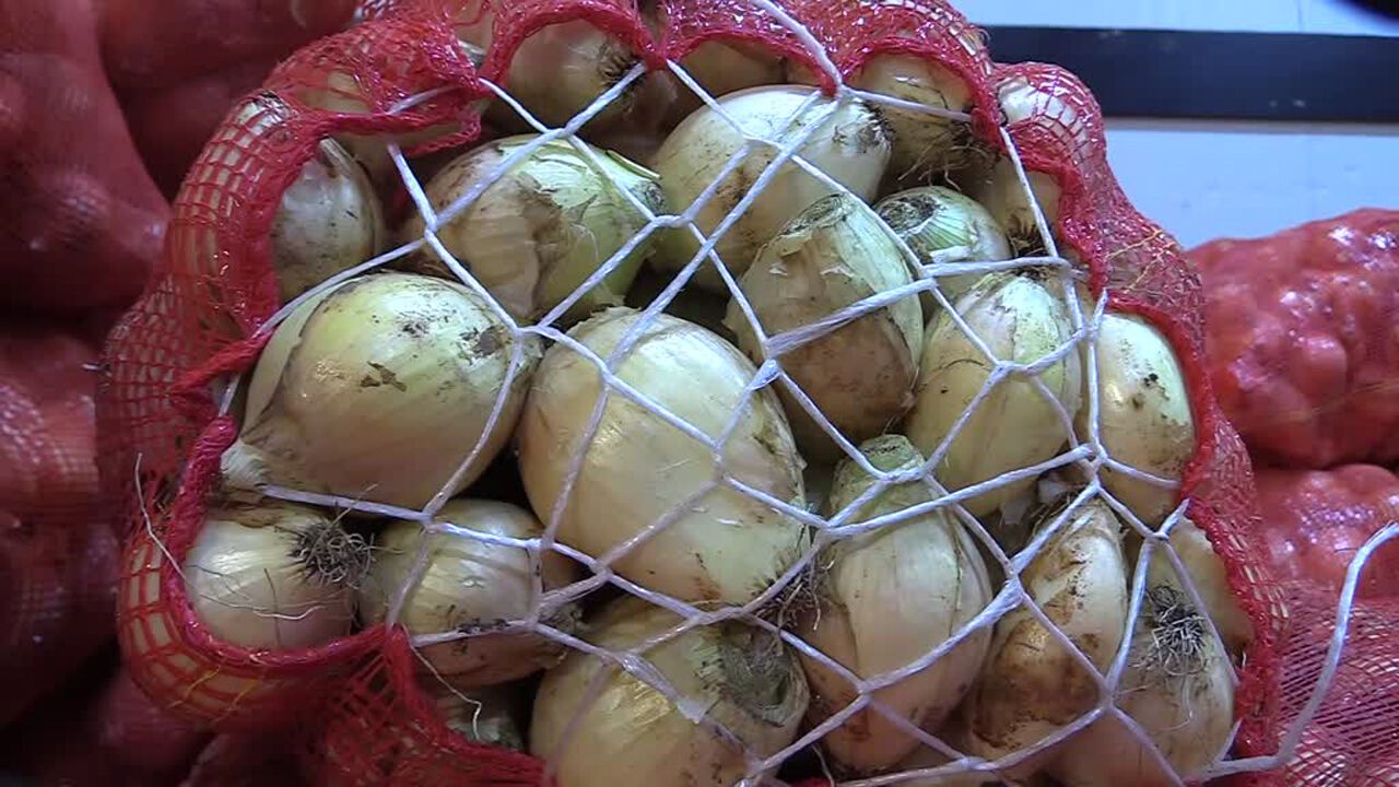 Kuru Soğanda Dünyada Üretim Azaldı, Türkiye’nin İhracatı 29 Ülkeye Çıktı