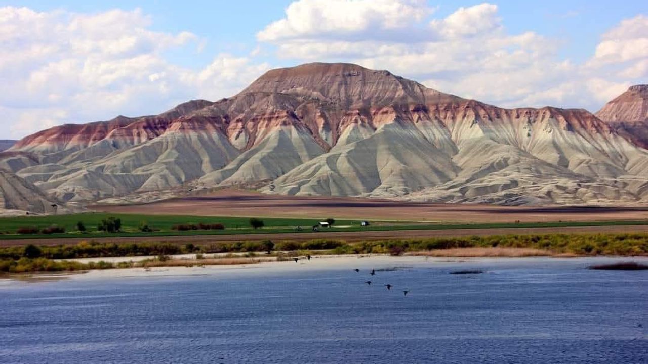 Nallıhan Kuş Cenneti Göçmen Kuşları Ağırlamaya Başladı