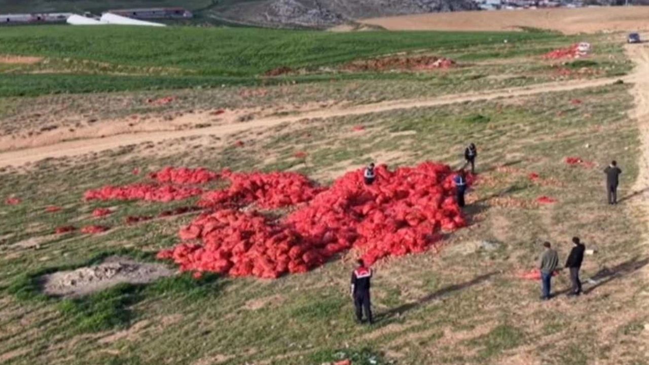 Polatlı’da Boş Araziye Dökülen Soğanlar için Ticaret Bakanlığı Harekete Geçti