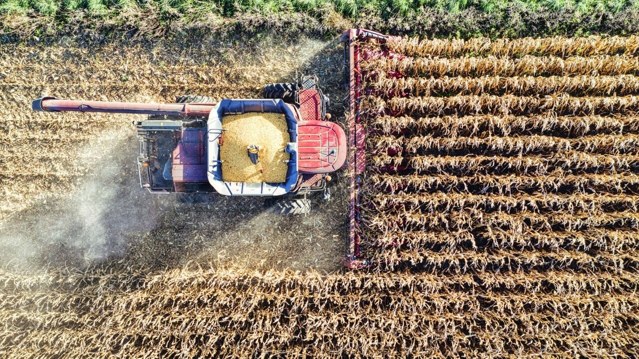 Tarımsal Girdi Endeksi Alarm Veriyor, Yıllık Artış Yüzde 30'u Aştı