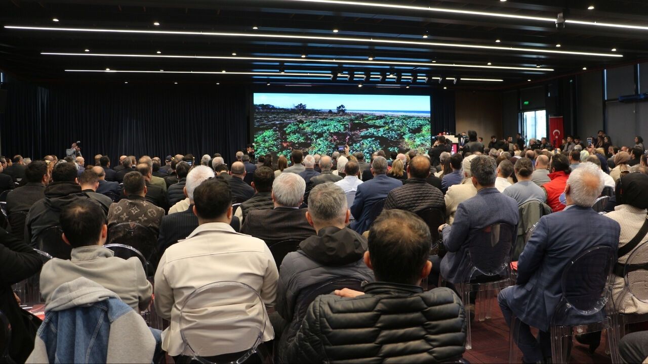 Türkiye Turizm Geliri 2025 Yılında 65,2 Milyar Dolar