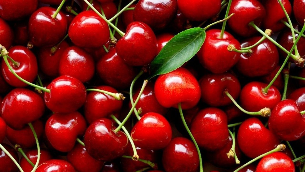 Kiraz Tatlıyken Vişne Neden Ekşidir?