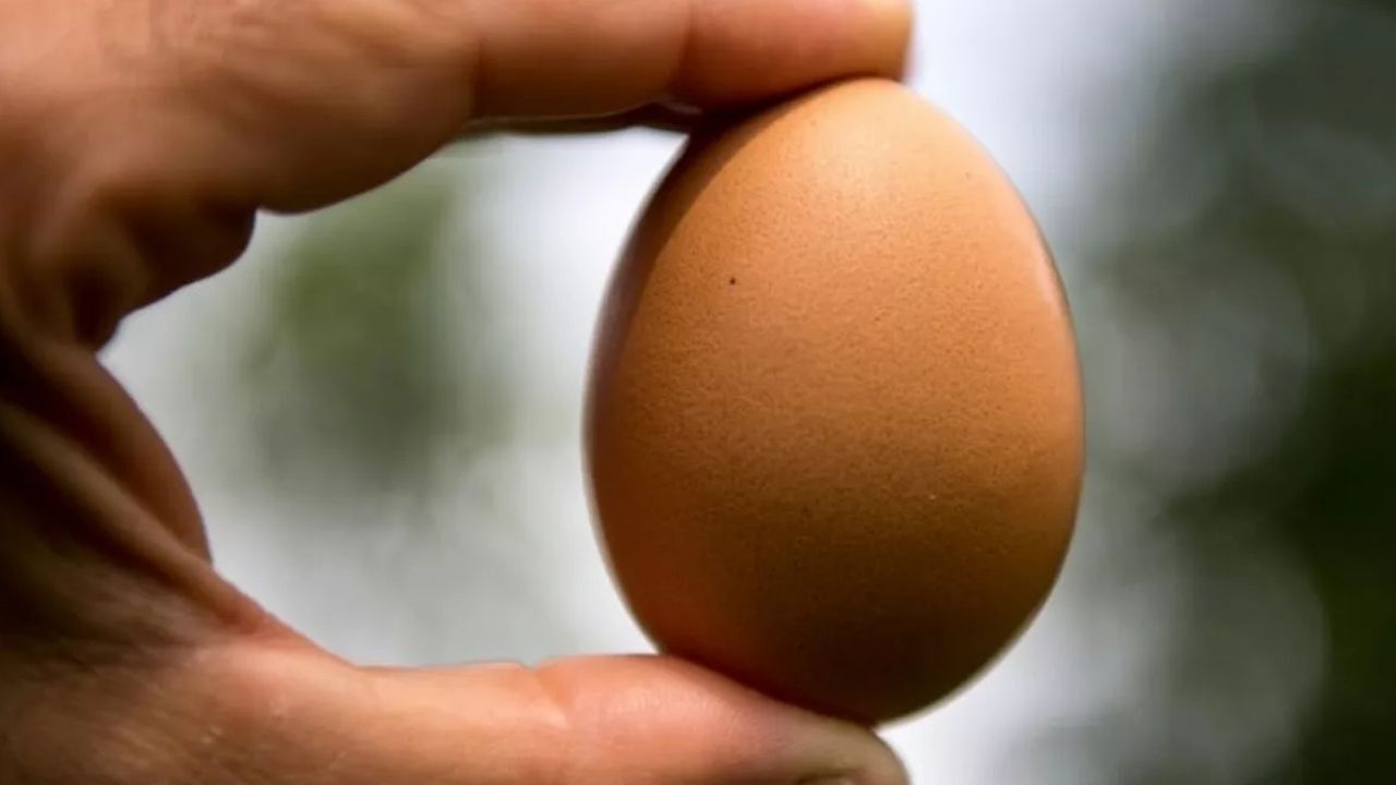 Yumurtayı Uçlarından Bastırarak Kırmak Neden Bu Kadar Zor?