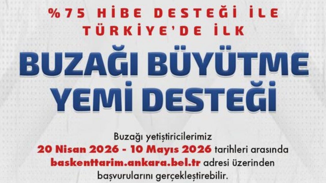 Beypazarı’nda Yüzde 75 Hibeli Buzağı Yemi Desteğinde Son Gün
