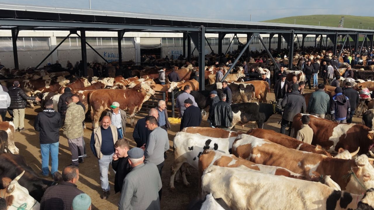 Başkan Demirbaş, Çubuk Canlı Hayvan Pazarı'nı Ziyaret Etti