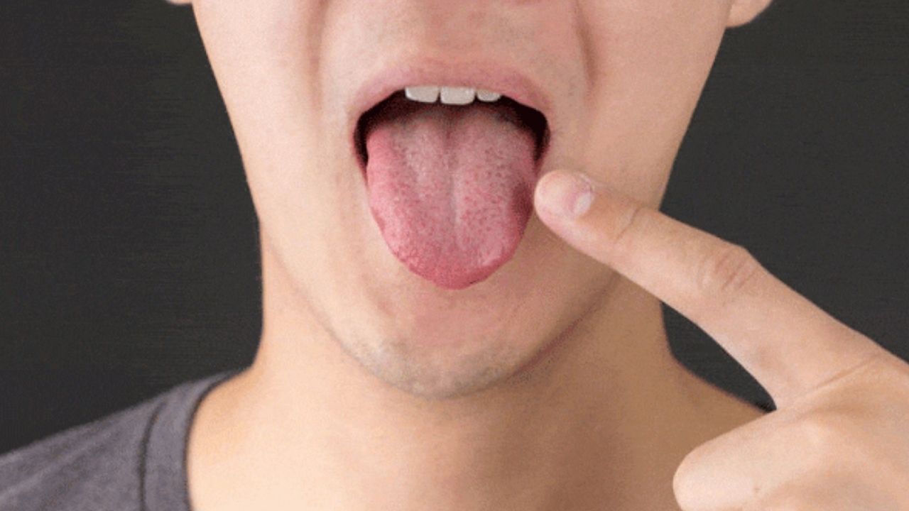Yemeklerin Tadını Nasıl Alıyoruz?