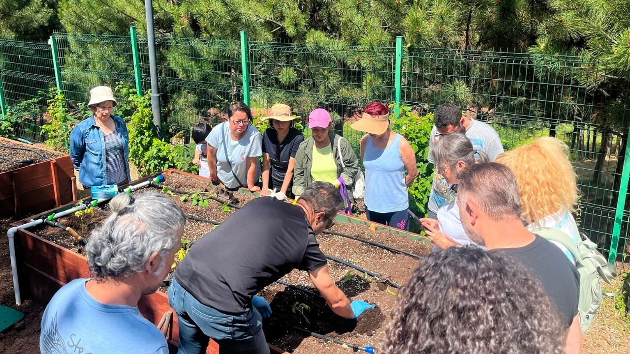 Çankaya Ata Kent Bostanı’nda Atalık Fideler Ekildi