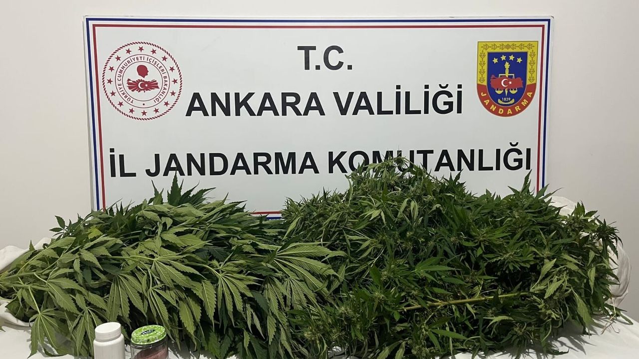 Haymana’da Kenevir Operasyonu: 1 Şüpheli Yakalandı