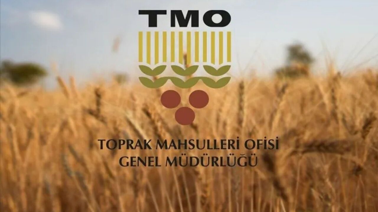 Toprak Mahsulleri Ofisi Çubuk'ta Hububat Alımlarına Başladı