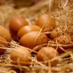 Yumurta Fiyatları Yeni Haftaya Düşüşle Başladı
